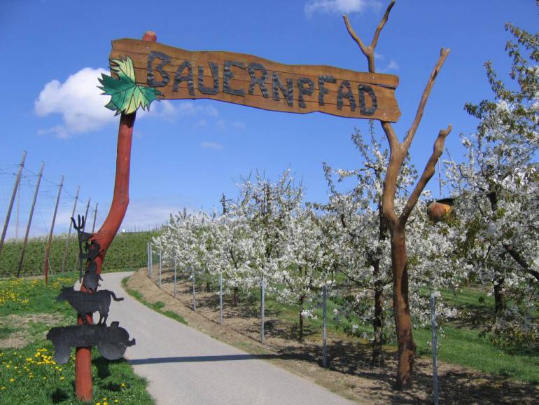 Kressbronner Bauernpfad | Bodensee